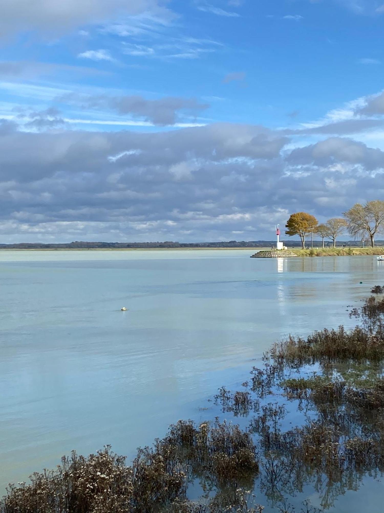 L'Olivier En Baie, T3 De Standing Avec Jardin, Vue Baie, Parking Prive Leilighet Saint-Valéry-sur-Somme Eksteriør bilde